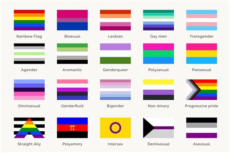 bandera de heteros|Conoce todas las banderas LGTBI incluyendo a la de。